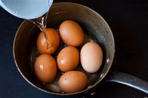 The Best Way To Boil An Egg HuffPost