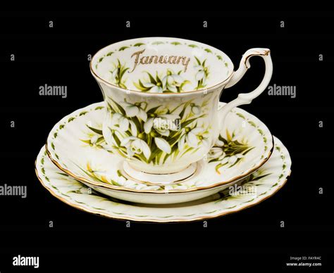 Vintage Royal Albert Porcelain January Flowers Of The Month Series