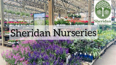 Sheridan Nurseries Scarborough Garden Center In Toronto YouTube