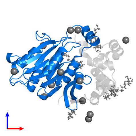 Pdb Dy Gallery Protein Data Bank In Europe Pdbe Embl Ebi