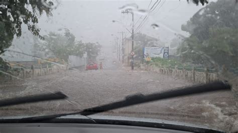 Chuva Forte Derruba Rvores E Causa Alagamentos Ag Ncia News