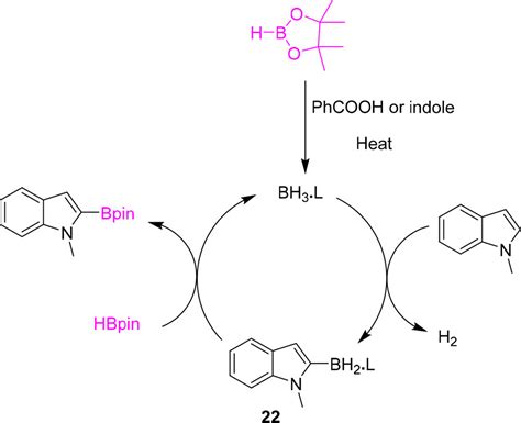 Metal Free Ch Borylation And Hydroboration Of Indoles Acs Omega