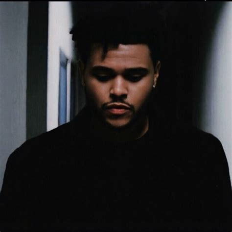 Stream The Weeknd The Zone [live] By Synthxo Listen Online For Free