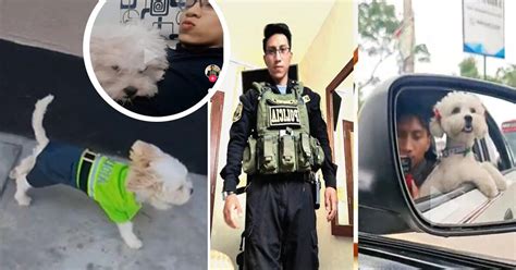 Qué pasó con la perrita del asesino Darwin Condori exigen saber su