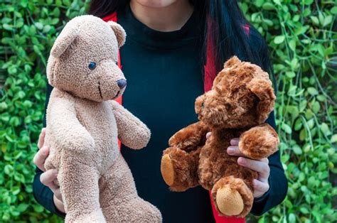 Premium Photo Midsection Of Woman Holding Teddy Bears