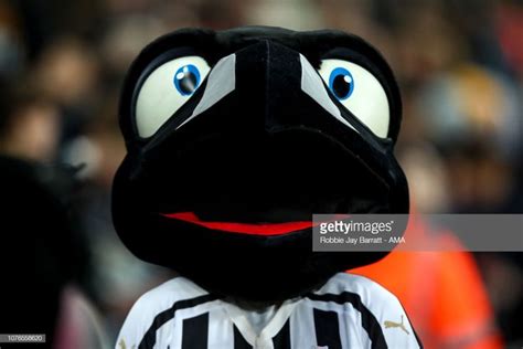 the mascot for the newcastle football club is seen in front of an empty ...