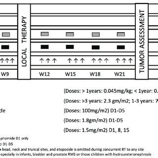 Chemotherapy protocol. | Download Scientific Diagram