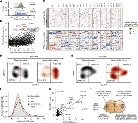 Mapping Information Rich Genotype Phenotype Landscapes With Genome