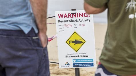 Shark warning remains for Bunbury beaches | South Western Times