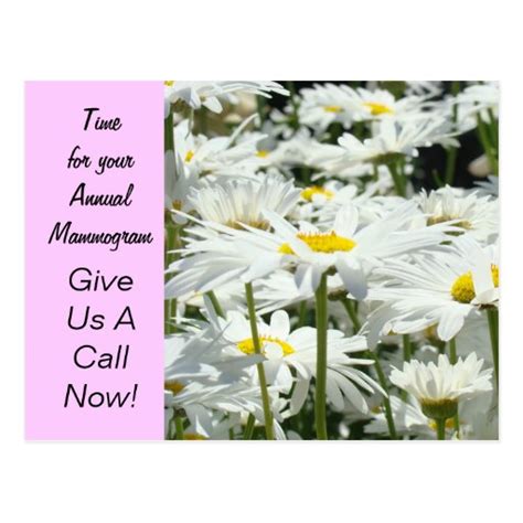 Annual Mammogram Postcard Reminder Women Zazzle