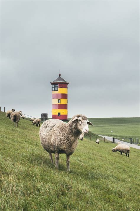 Lighthouse Pilsum, Germany