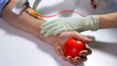 Blood Donation Saves Lives St Michael S Elite Hospital