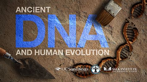 Decoding Ancient DNA The UCTV BLOG