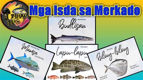 Mga Isda Sa Merkado Mga Ibat Ibang Pangalan Ng Isda Na Makikita Sa