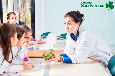 Colegio San Patricio Bogotá Los Mejores Colegios Colombia