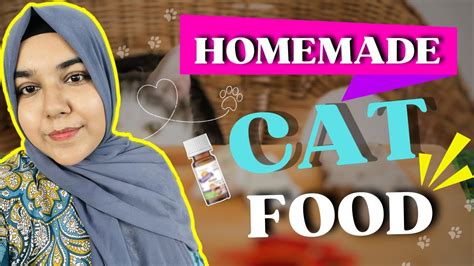 How To Make Homemade Cat Food With Chicken Homemade Cat Food Recipe