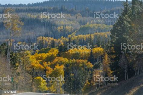 Brilliant Fall Colors Scenic Byway 12 In Utah Is One Of The Most Scenic