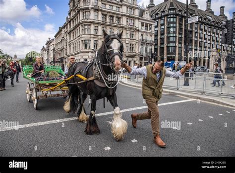 Gitanos irlandeses fotografías e imágenes de alta resolución Alamy