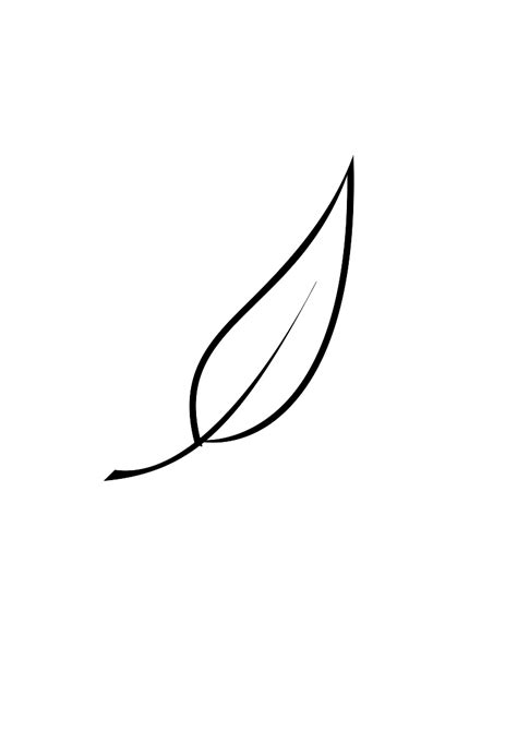 Tea Leaf Outline - ClipArt Best