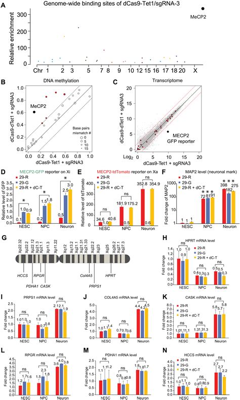 Multiplex Epigenome Editing Of MECP2 To Rescue Rett Syndrome Neurons