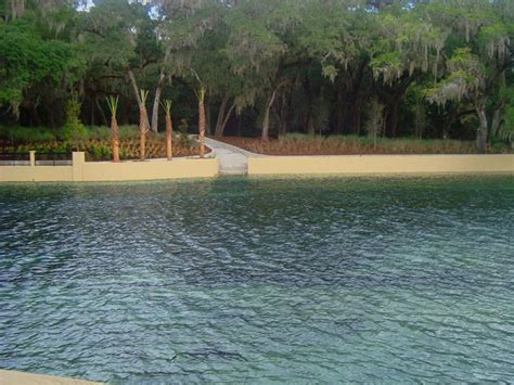 Ocala National Forest: Salt Springs | GFBWT