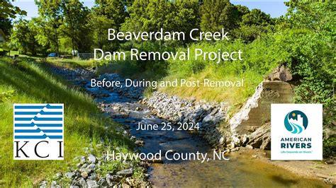 Beaverdam Creek Dam Removal Project Youtube