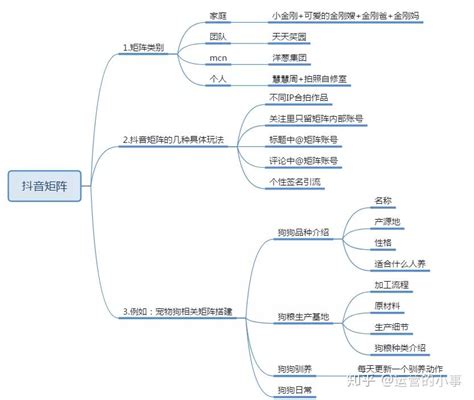 抖音运营全指南 知乎