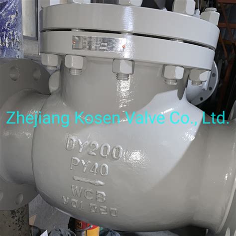 Din F F Cast Steel Lift Type Check Valve Manufacture Lift Type