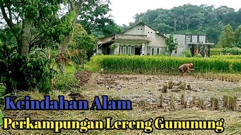 Senyaman Dan Se Enak Ini Perkampungan Di Lereng Gunung Youtube