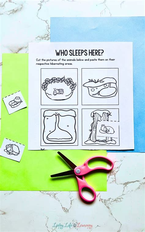 Hibernation Worksheets