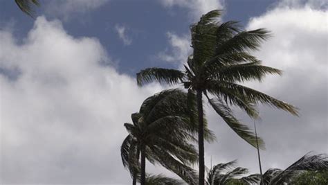 saison cyclonique linfore