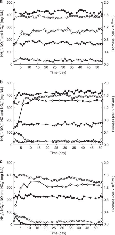 Nitric Oxide Nitrite Ammonium Consumption Nitrate Production And