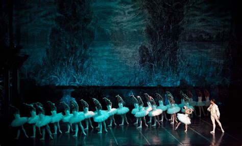 Swan Lake P I Tchaikovsky National Opera And Ballet