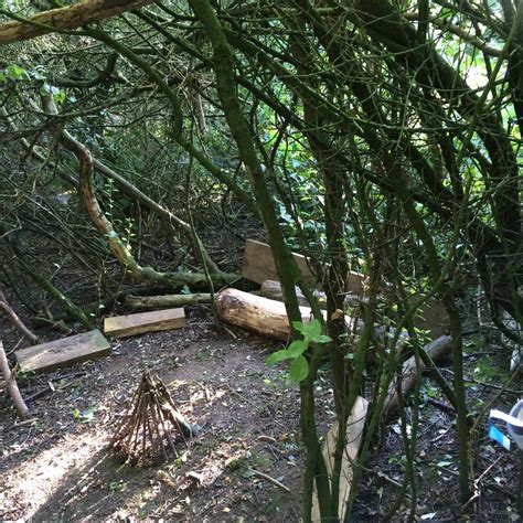 Den Building