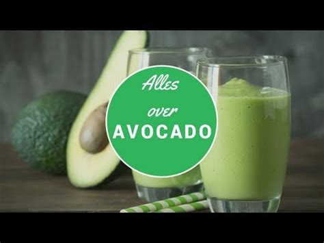 Avocado S Alles Wat Je Moet Weten YouTube