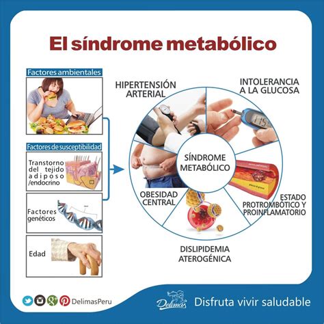 Síndrome Metabólico Qué Es Causas Síntomas Y Tratamiento Blog Vive Sano