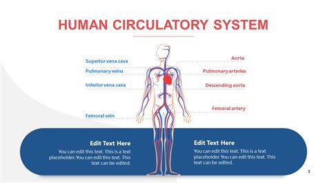 Free Cardiac Powerpoint Templates