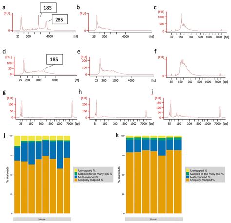 Ac Representative Bioanalyzer Electropherograms Of A Total Input