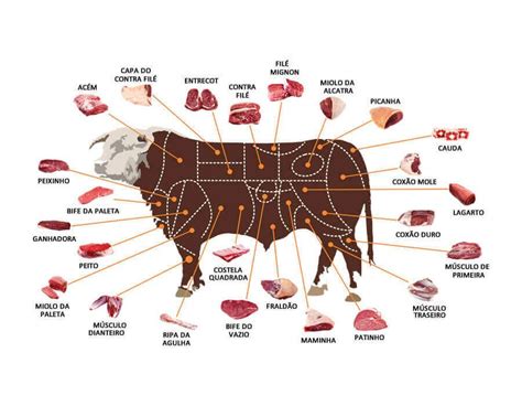 Mapa De Cortes Bovinos Librain