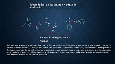 Propiedades fisicas y química de las aminas pptx