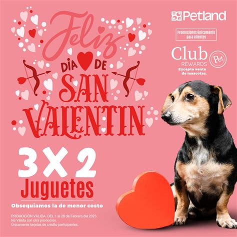 Promo De San Valent N Petland X En Juguetes Para Mascota