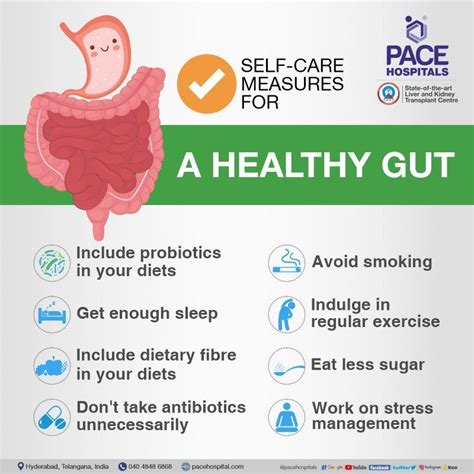 Progressive Charlestown Ways To Improve Your Gut Health