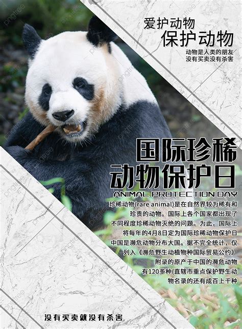 Publicity Poster Of Simple International Rare Animal Protection Day