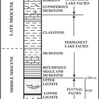 Generalized Stratigraphic Columnar Section Of The Lignite Bearing