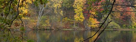 home page walpole nh