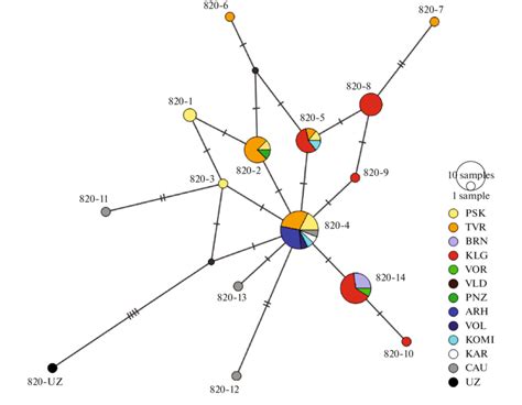 Median Joining Network Of Haplotypes Of 820 Bp Fragment Of Otter Mtdna