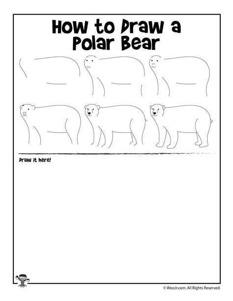 How To Draw A Polar Bear Woo Jr Kids Activities Childrens Publishing