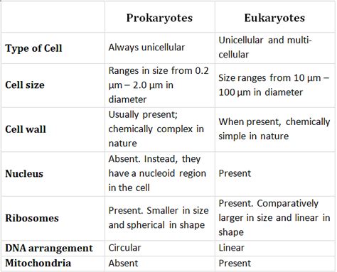 Difference Between Prokaryotic And Eukaryotic Cells Class 11 Pdf Download