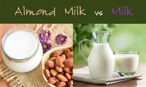 Almond Milk Vs Milk The Ultimate Verdict The Coconut Mama