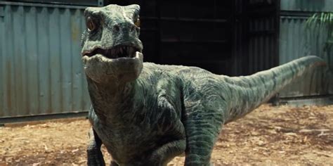 Image - Jurassic-World-Velociraptors-6.png - Jurassic Park wiki - Wikia